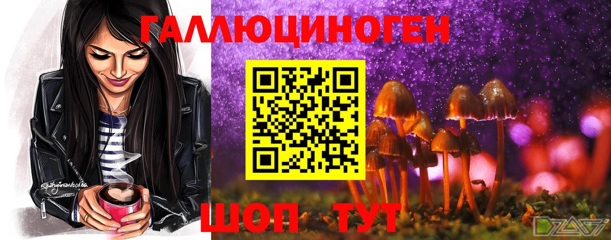 МАРИХУАНА Гусь-Хрустальный