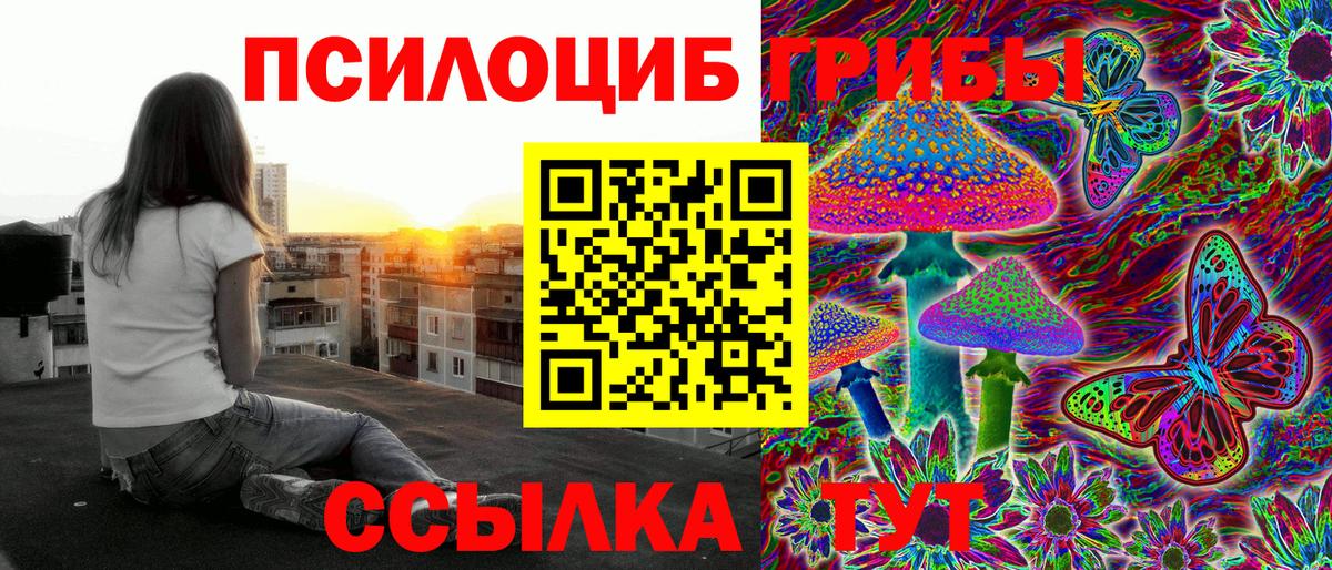 Псилоцибиновые грибы Psilocybe  Вход с VPN  Гусь-Хрустальный 